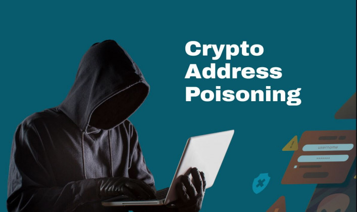 Address Poisoning Attacks in Cryptocurrency: Examination and Defense Strategies