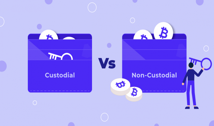 Exploring the Dynamics of Custodial and Non-Custodial Crypto Wallets